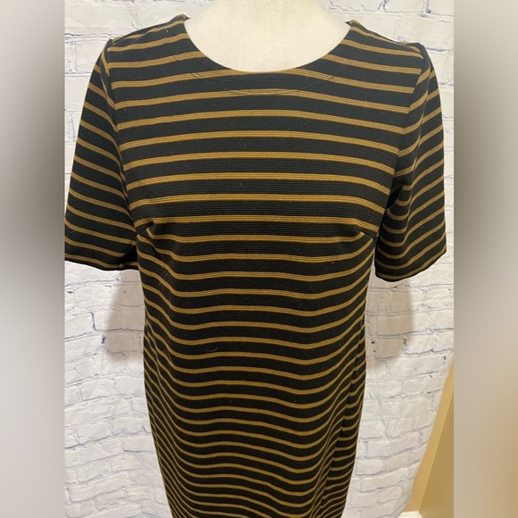 ANN TAYLOR LOFT Women's Black & Brown Striped Dress Size Medium - Picture 3 of 7